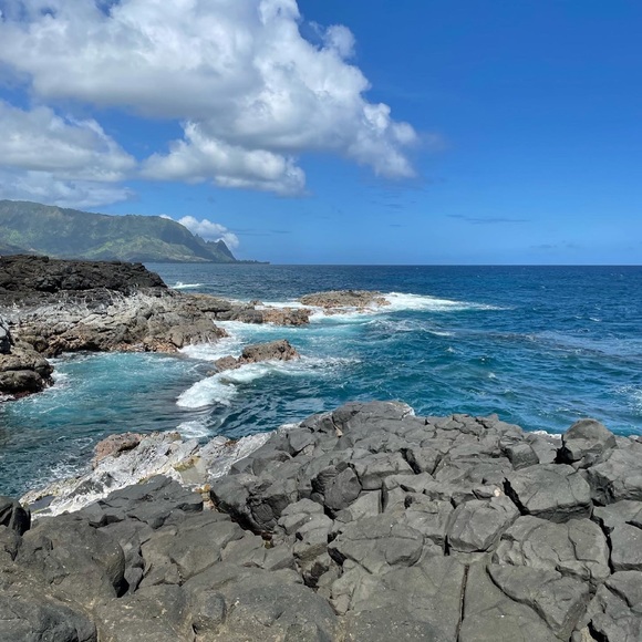 Meet your Posher, Chelsea - Picture 4 of 6